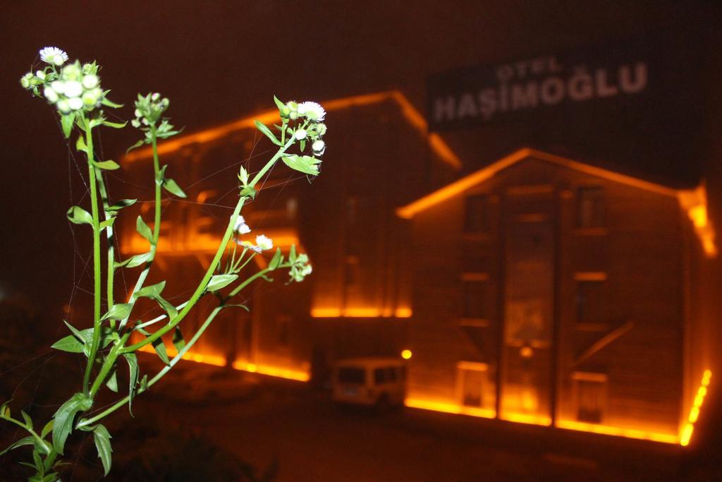 Ayder Hasimoglu Hotel エクステリア 写真