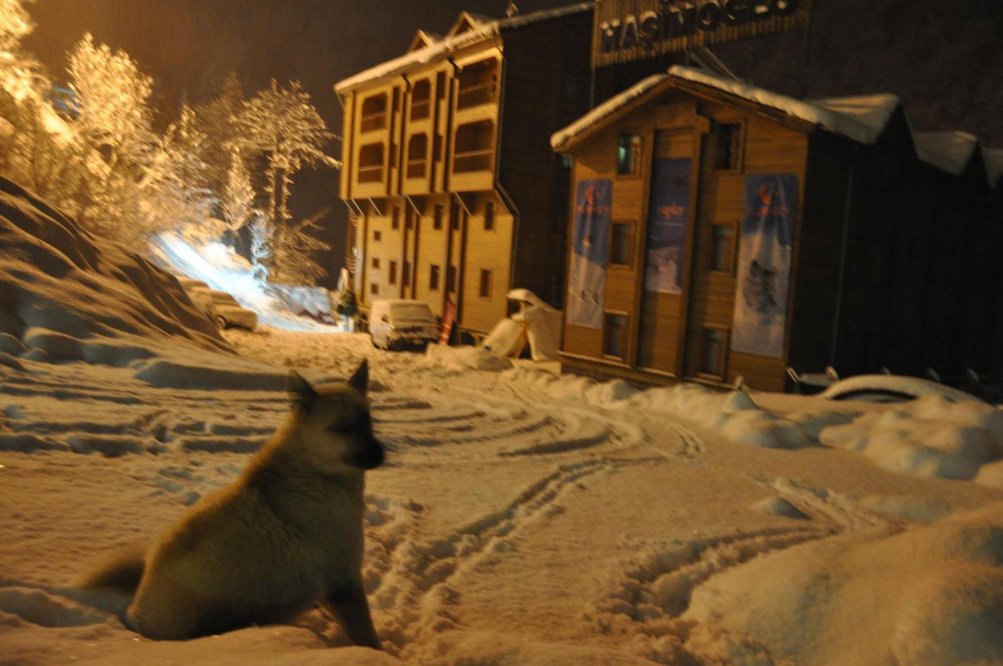 Ayder Hasimoglu Hotel エクステリア 写真