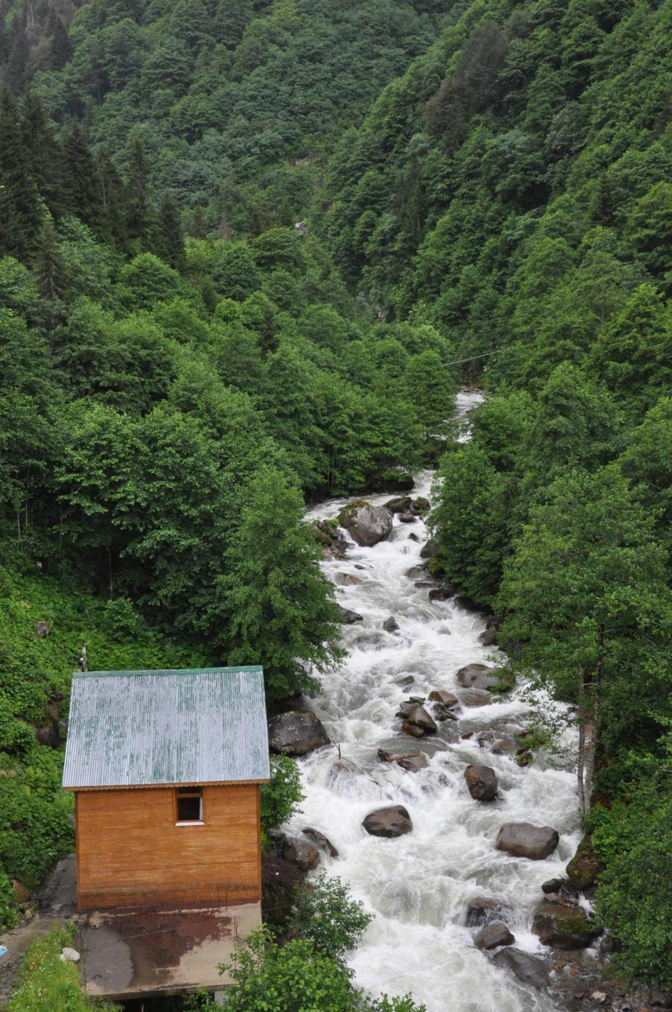 Ayder Hasimoglu Hotel エクステリア 写真
