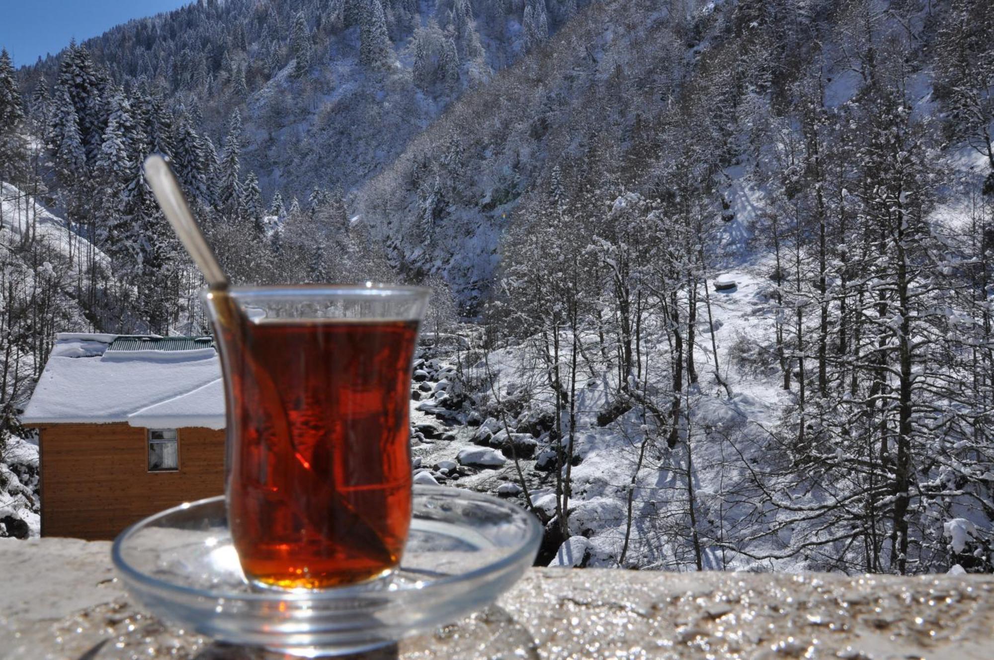 Ayder Hasimoglu Hotel エクステリア 写真
